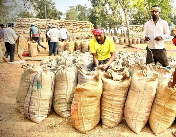 धमतरी में रिकॉर्ड रफ्तार से धान खरीदी